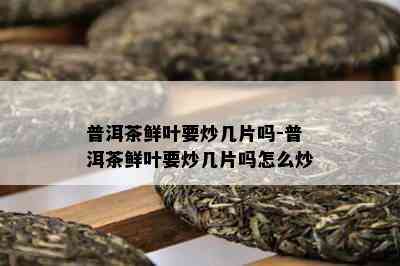 普洱茶鲜叶要炒几片吗-普洱茶鲜叶要炒几片吗怎么炒