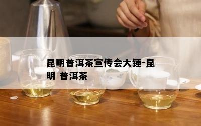 昆明普洱茶宣传会大锤-昆明 普洱茶