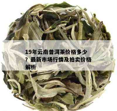 19年云南普洱茶价格多少？最新市场行情及拍卖价格解析