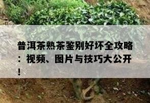 普洱茶熟茶鉴别好坏全攻略：视频、图片与技巧大公开！