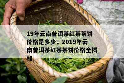 19年云南普洱茶红茶茶饼价格是多少，2019年云南普洱茶红茶茶饼价格全揭秘