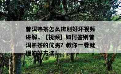 普洱熟茶怎么辨别好坏视频讲解，【视频】如何鉴别普洱熟茶的优劣？教你一看就懂的好方法！