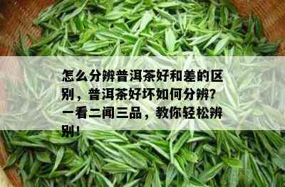 怎么分辨普洱茶好和差的区别，普洱茶好坏如何分辨？一看二闻三品，教你轻松辨别！