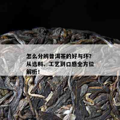 怎么分辨普洱茶的好与坏？从选料、工艺到口感全方位解析！