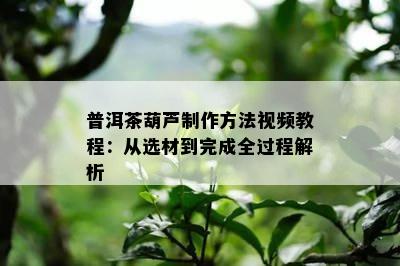 普洱茶葫芦制作方法视频教程：从选材到完成全过程解析