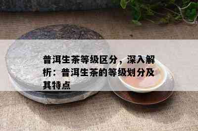 普洱生茶等级区分，深入解析：普洱生茶的等级划分及其特点