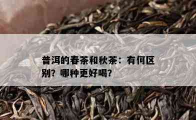 普洱的春茶和秋茶：有何区别？哪种更好喝？