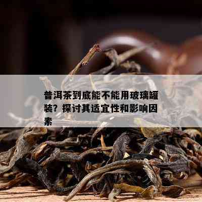 普洱茶到底能不能用玻璃罐装？探讨其适宜性和影响因素