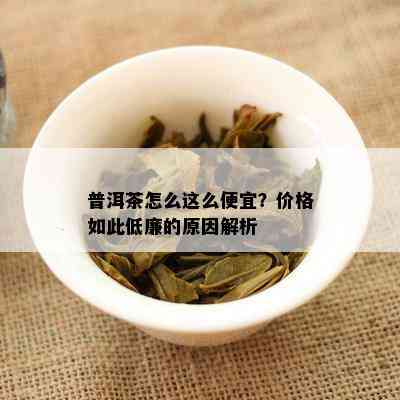 普洱茶怎么这么便宜？价格如此低廉的原因解析