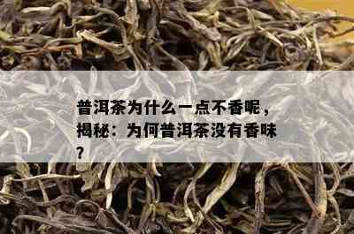 普洱茶为什么一点不香呢，揭秘：为何普洱茶没有香味？