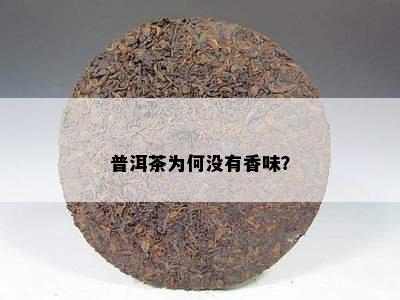 普洱茶为何没有香味？