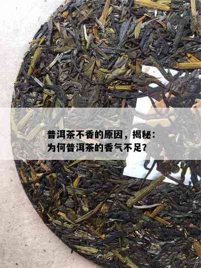 普洱茶不香的原因，揭秘：为何普洱茶的香气不足？