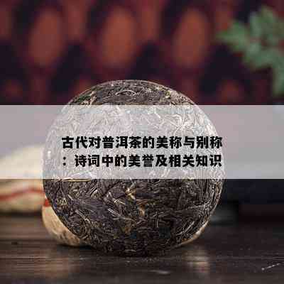 古代对普洱茶的美称与别称：诗词中的美誉及相关知识