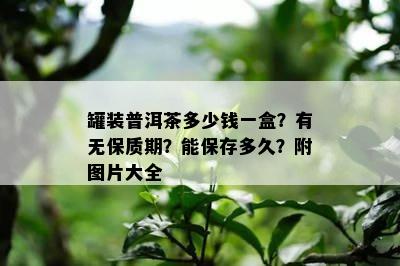 罐装普洱茶多少钱一盒？有无保质期？能保存多久？附图片大全