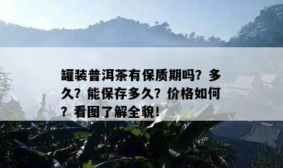 罐装普洱茶有保质期吗？多久？能保存多久？价格如何？看图了解全貌！