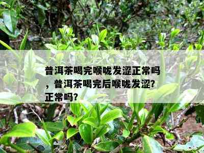 普洱茶喝完喉咙发涩正常吗，普洱茶喝完后喉咙发涩？正常吗？