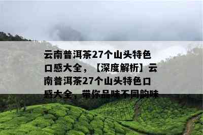 云南普洱茶27个山头特色口感大全，【深度解析】云南普洱茶27个山头特色口感大全，带你品味不同韵味