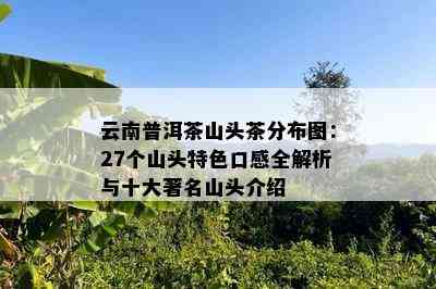 云南普洱茶山头茶分布图：27个山头特色口感全解析与十大著名山头介绍