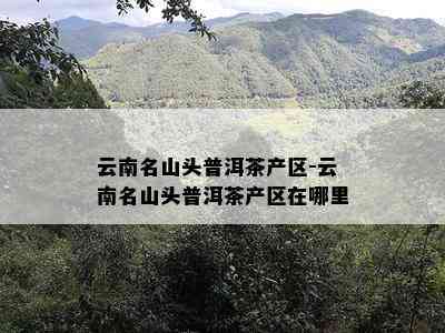 云南名山头普洱茶产区-云南名山头普洱茶产区在哪里