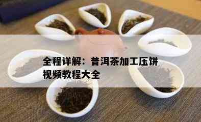 全程详解：普洱茶加工压饼视频教程大全