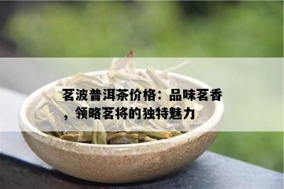 茗波普洱茶价格：品味茗香，领略茗将的独特魅力