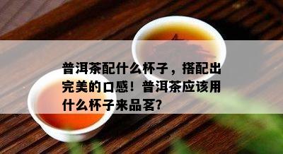 普洱茶配什么杯子，搭配出完美的口感！普洱茶应该用什么杯子来品茗？