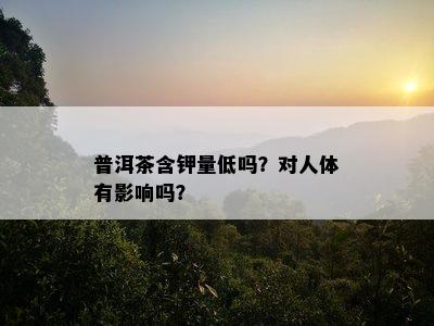 普洱茶含钾量低吗？对人体有影响吗？