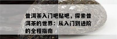 普洱茶入门吧贴吧，探索普洱茶的世界：从入门到进阶的全程指南