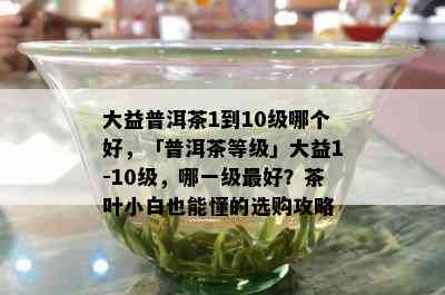 大益普洱茶1到10级哪个好，「普洱茶等级」大益1-10级，哪一级更好？茶叶小白也能懂的选购攻略