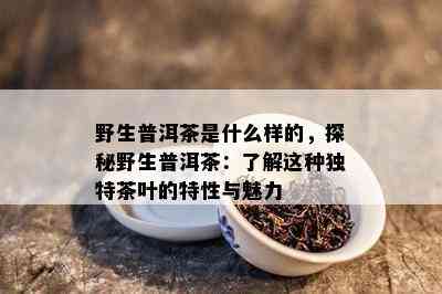 野生普洱茶是什么样的，探秘野生普洱茶：了解这种独特茶叶的特性与魅力