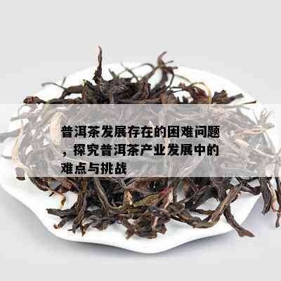 普洱茶发展存在的困难问题，探究普洱茶产业发展中的难点与挑战