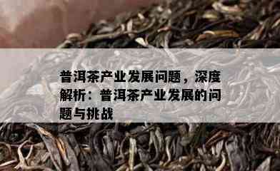 普洱茶产业发展问题，深度解析：普洱茶产业发展的问题与挑战