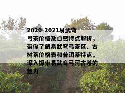 2020-2021易武弯弓茶价格及口感特点解析，带你了解易武弯弓茶区、古树茶价格表和普洱茶特点，深入探索易武弯弓河古茶的魅力