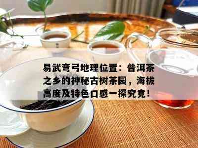 易武弯弓地理位置：普洱茶之乡的神秘古树茶园，海拔高度及特色口感一探究竟！