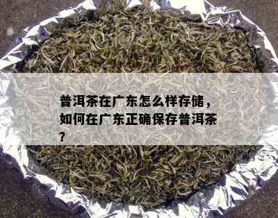 普洱茶在广东怎么样存储，如何在广东正确保存普洱茶？