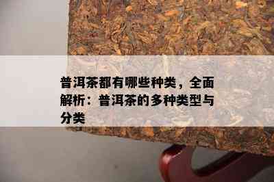 普洱茶都有哪些种类，全面解析：普洱茶的多种类型与分类