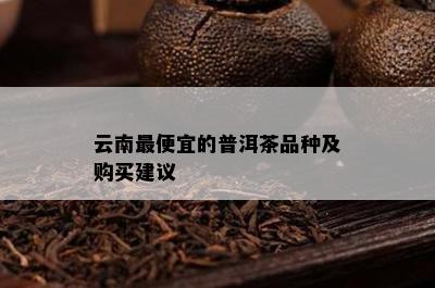 云南更便宜的普洱茶品种及购买建议