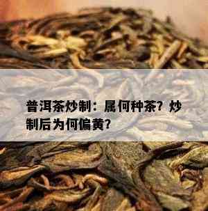 普洱茶炒制：属何种茶？炒制后为何偏黄？