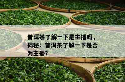 普洱茶了解一下是主播吗，揭秘：普洱茶了解一下是否为主播？