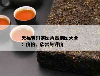 天福普洱茶图片高清图大全：价格、欣赏与评价