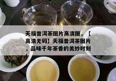 天福普洱茶图片高清图，【高清 *** 】天福普洱茶图片，品味千年茶香的美妙时刻！