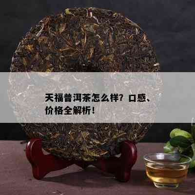 天福普洱茶怎么样？口感、价格全解析！