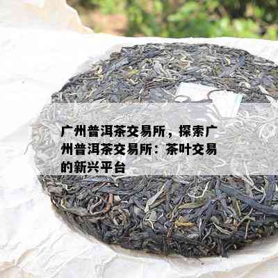 广州普洱茶交易所，探索广州普洱茶交易所：茶叶交易的新兴平台