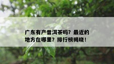 广东有产普洱茶吗？最近的地方在哪里？排行榜揭晓！