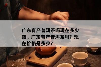 广东有产普洱茶吗现在多少钱，广东有产普洱茶吗？现在价格是多少？