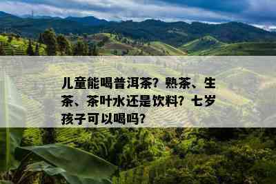 儿童能喝普洱茶？熟茶、生茶、茶叶水还是饮料？七岁孩子可以喝吗？