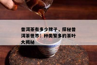 普洱茶有多少牌子，探秘普洱茶世界：种类繁多的茶叶大揭秘