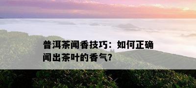 普洱茶闻香技巧：如何正确闻出茶叶的香气？