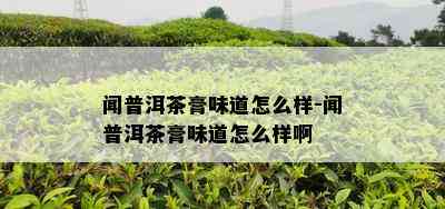 闻普洱茶膏味道怎么样-闻普洱茶膏味道怎么样啊