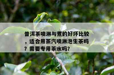 普洱茶喷淋与煮的好坏比较，适合用蒸汽喷淋泡生茶吗？需要专用茶水吗？